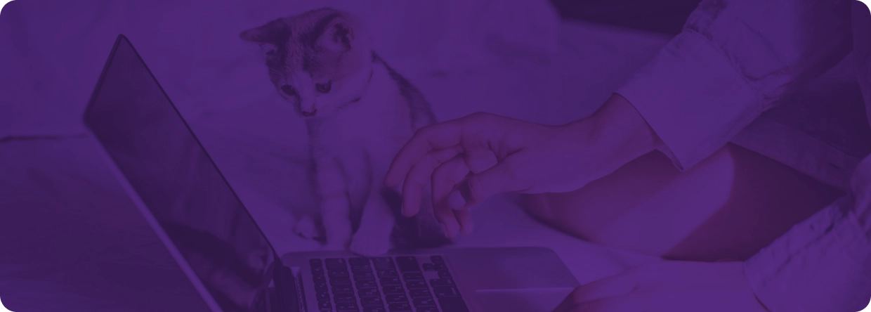 Imagem de fundo da seção inicial da página de posts