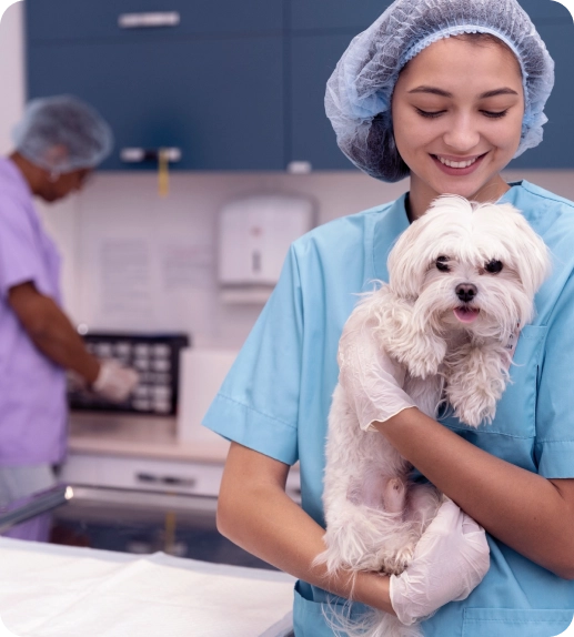 Gestor, nós conhecemos as dores do seu Hospital Veterinário!