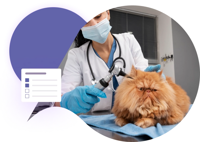 Sistema para Hospital Veterinário